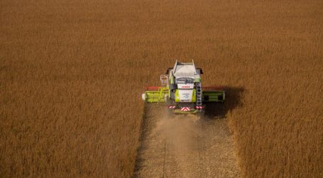 EU will Selbstversorgung mit Eiweißpflanzen erhöhen