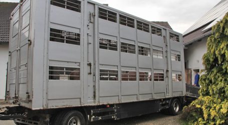 „Tiere leiden unter langen Transporten“