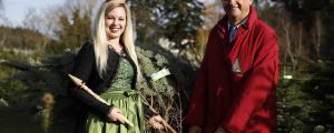 Christbaum aus Niederösterreich im EU-Parlament