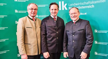 Schmuckenschlager offiziell als Schultes-Nachfolger gewählt