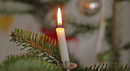 Christbäume als Energiespender