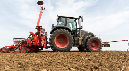 Burgenlands Rübenbauern beklagen Beize-Verbot
