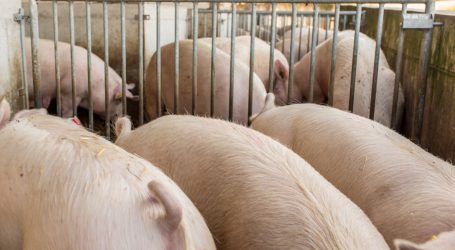 BLICK INS LAND 02/2020 ist erschienen