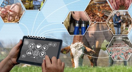 „Landwirte bringen Digitalisierung in den ländlichen Raum“