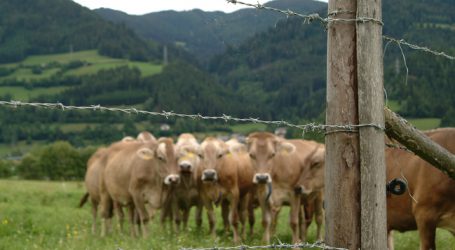 Zahl der Milchbauern in der Schweiz auf Tiefststand