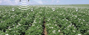 „Riesen-Hype um Landwirtschaft 4.0“