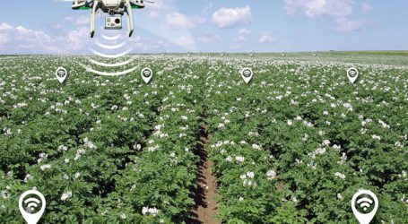 „Riesen-Hype um Landwirtschaft 4.0“