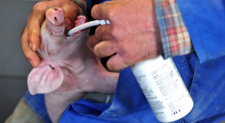 „Alarmglocken bei Antibiotikaresistenzen läuten“