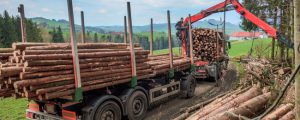 Ausnahmen für Holztransporte verlängert