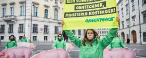 Greenpeace demonstriert gegen Gentechnik im Schweinetrog