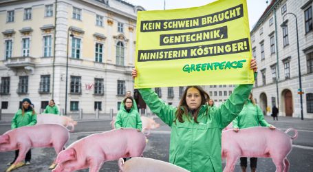Greenpeace demonstriert gegen Gentechnik im Schweinetrog