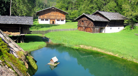 „World Wood Day“ zeigt Bedeutung des Rohstoffes Holz