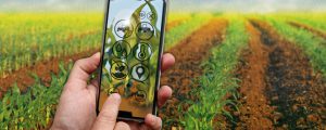 Digitalisierung bringt Bauern nicht nur Vorteile