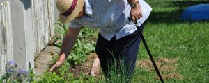 Verein „Green Care“ will mit Gemeinden zusammenarbeiten