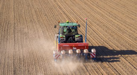 Mais bleibt Nummer Eins in Oberösterreich