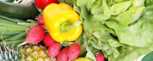 Rechnungshof mahnt zur Wachsamkeit bei Bio aus Drittstaaten