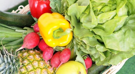 Rechnungshof mahnt zur Wachsamkeit bei Bio aus Drittstaaten