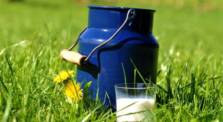 Biomilchproduktion in Deutschland nimmt rasant zu