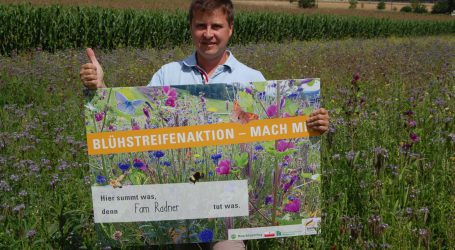 Oberösterreich verlängert Blühstreifenaktion