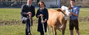Landwirtschaftliche Fachschule Pyhra wird ausgebaut
