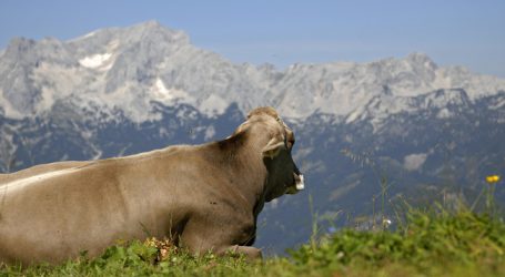Vorarlberg übernimmt Haftpflichtversicherung auf Alpen