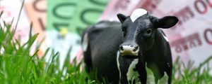 EU-Parlament will Krisenreserven aufstocken