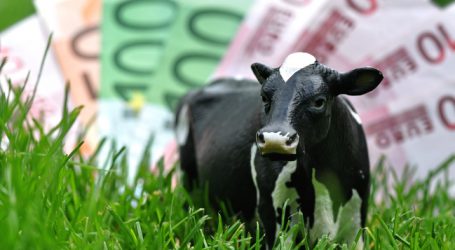 EU-Parlament will Krisenreserven aufstocken