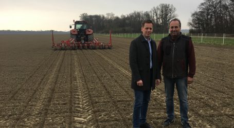 Galgenfrist für die Zuckerrübe