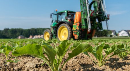 Pflanzenschutz-Studien: Veröffentlichung bei Antragsstellung