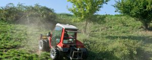 Bio-Flächenanteil in Vorarlberg gering