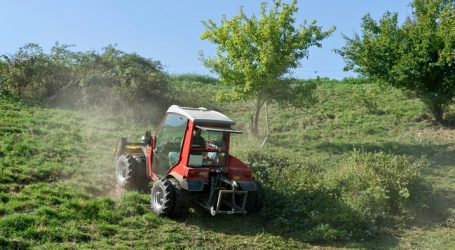 Bio-Flächenanteil in Vorarlberg gering