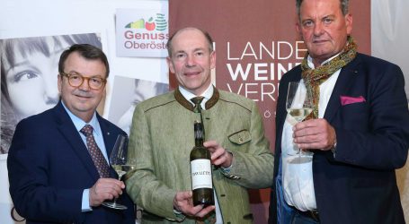 Weinbau gewinnt in Oberösterreich an Bedeutung