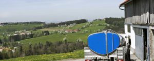 Erzeugermilchpreise im April gefestigt
