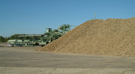 Verluste beim Zucker belasten Agrana-Bilanz
