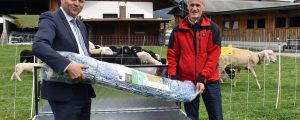 Land Tirol verleiht „Notfall-Kits“ zum Herdenschutz