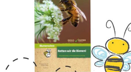 FAIE verschenkt 100.000 Bienenwiesen