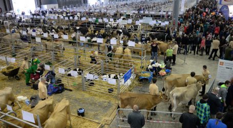 Animal Tech in Brünn lockte fast 40.000 Besucher