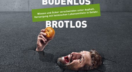 Hagelversicherung für Kampagne ausgezeichnet