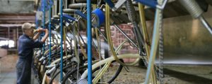 Milchpulver-Interventionsbestände sind abgebaut