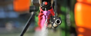 Glyphosat-Verbot scheint fix