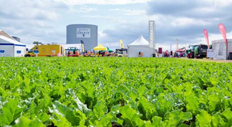Betaexpo: „Zu emotionale Diskussion um Pflanzenschutz“