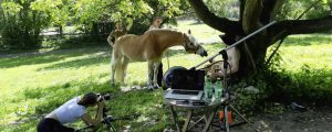Jungbauern „shooten“ in der Steiermark