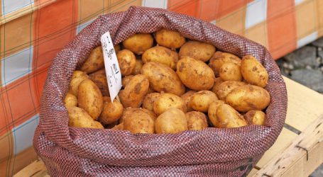 Erdäpfel bleiben heuer klein