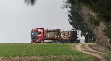 Holzindustrie senkte Importe um zehn Prozent