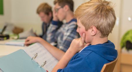 100 % Bio in Burgenlands Kindergärten und Schulen bis 2024