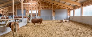 Neuauflage der Broschüre „Einfacher Laufstall“