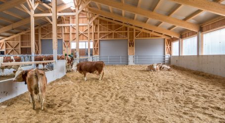 Neuauflage der Broschüre „Einfacher Laufstall“