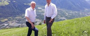 Südtirol und Steiermark wollen Wolfsschutz herabstufen