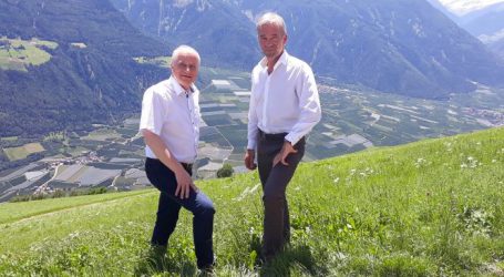 Südtirol und Steiermark wollen Wolfsschutz herabstufen