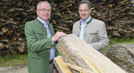 Schmuckenschlager will „Notwehr-Fahrverbote gegen Importholz“